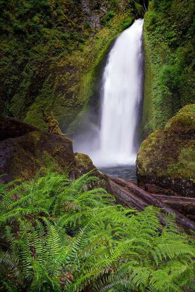 Jones, Adam 아티스트의 Wahclella Falls along Tanner Creek-Columbia River Gorge-Oregon작품입니다.